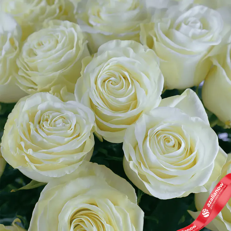 Фото 3: Букет из 19 роз «Привет» + Merci в подарок. Сервис доставки цветов AzaliaNow