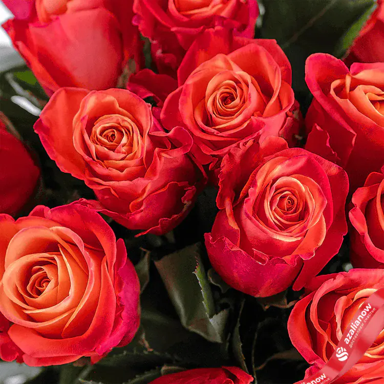 Фото 3: Букет из 25 оранжевых роз «Признание» + Конструктор в подарок. Сервис доставки цветов AzaliaNow