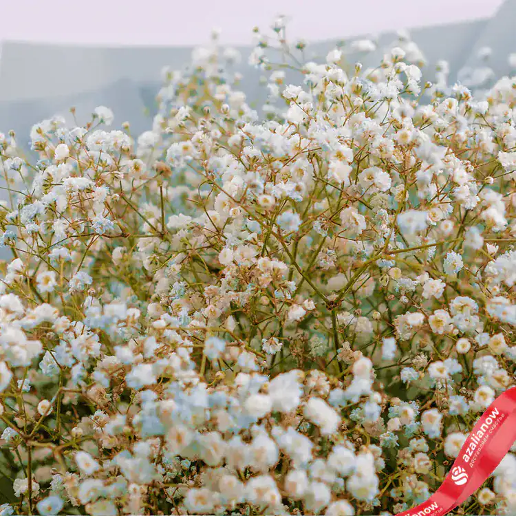 Фото 3: Букет белых и бирюзовых гипсофил «Пунктуальность». Сервис доставки цветов AzaliaNow