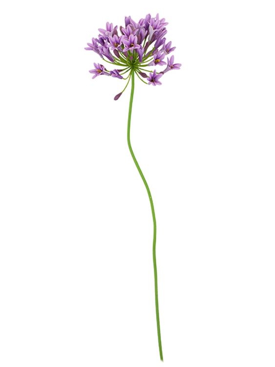 Фото 1: Агапантус Искусственный 75 см Сиреневый. Сервис доставки цветов AzaliaNow