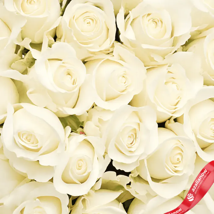 Фото 3: Акция! 25 белых роз Уайт Сноу, 50 см, Эквадор. Сервис доставки цветов AzaliaNow