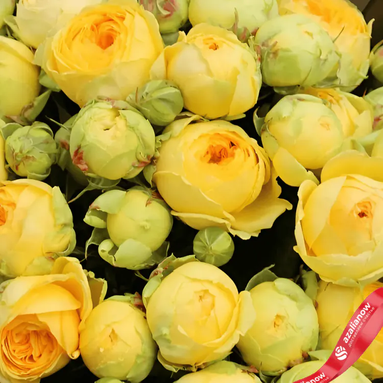 Фото 3: Букет из желтых 9 роз Лемон Айс. Сервис доставки цветов AzaliaNow