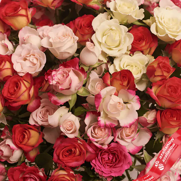 Фото 3: Букет из 25 кустовых роз микс в коробке. Сервис доставки цветов AzaliaNow