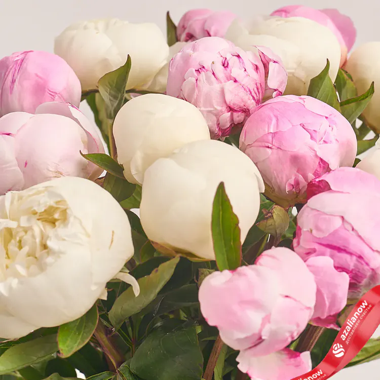 Фото 3: Букет из 7 белых и 8 розовых пионов в розовой пленке. Сервис доставки цветов AzaliaNow