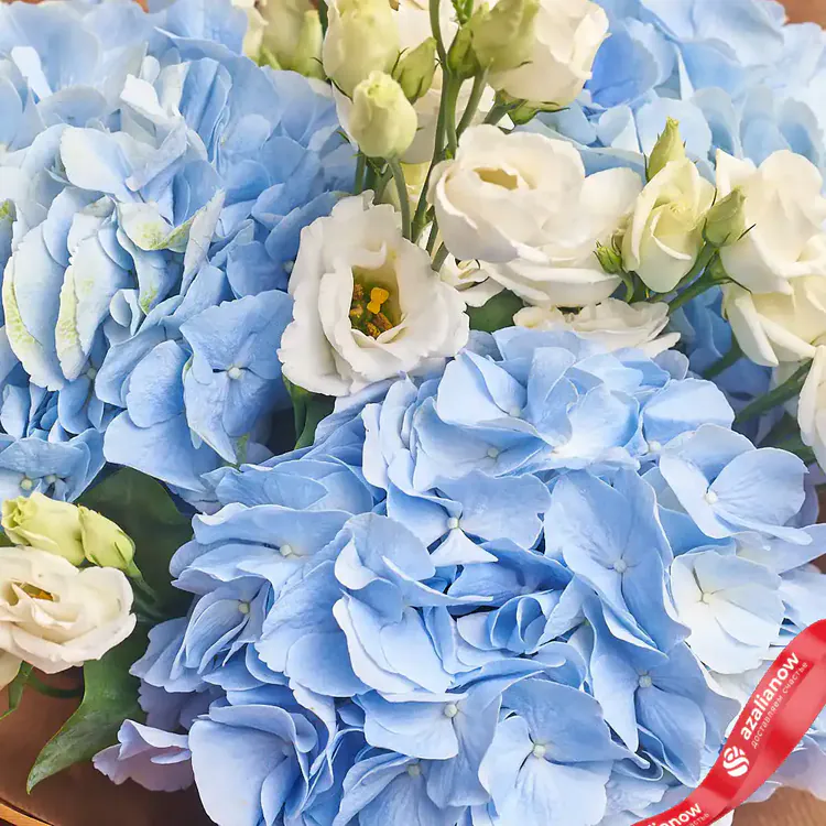 Фото 3: Букет из голубых гортензий и белого лизиантуса в серой пленке «ИЗО». Сервис доставки цветов AzaliaNow