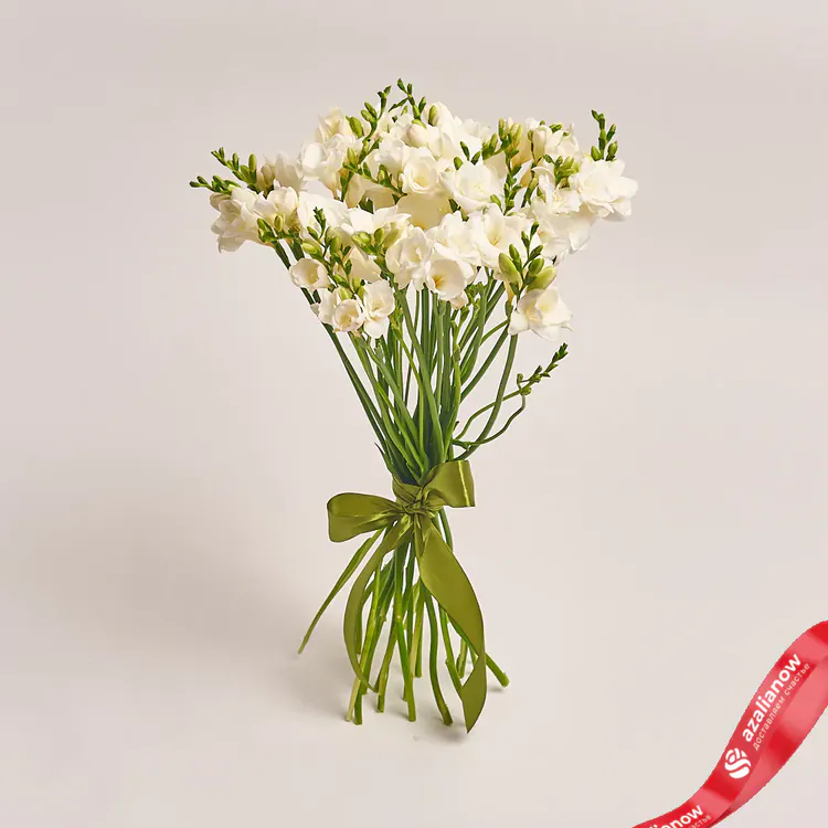 Фото 1: 25 белых фрезий, Голландия. Сервис доставки цветов AzaliaNow