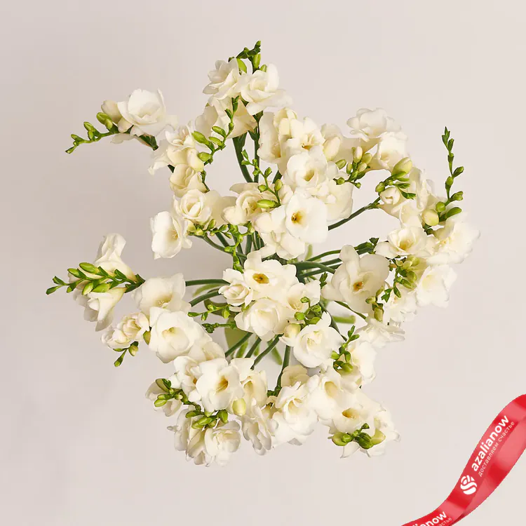 Фото 2: 25 белых фрезий, Голландия. Сервис доставки цветов AzaliaNow