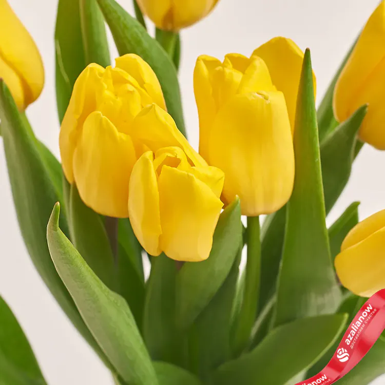 Фото 3: Букет из 11 желтых тюльпанов в прозрачной пленке. Сервис доставки цветов AzaliaNow