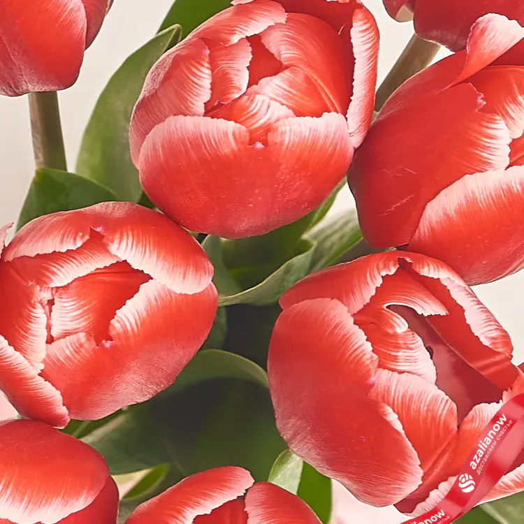 Фото 3: Букет из 11 красных тюльпанов в зеленой бумаге. Сервис доставки цветов AzaliaNow