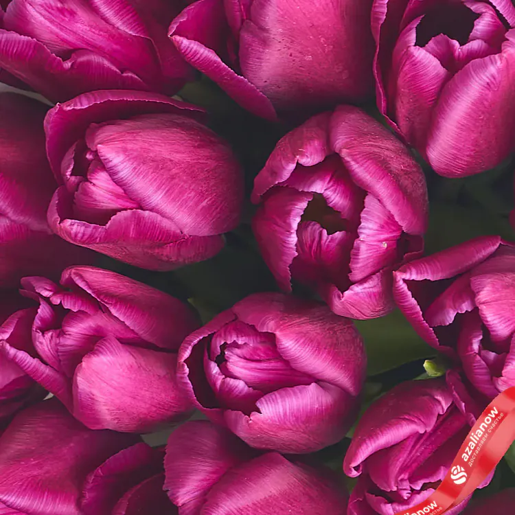 Фото 3: Букет из 11 фиолетовых тюльпанов в белой бумаге. Сервис доставки цветов AzaliaNow