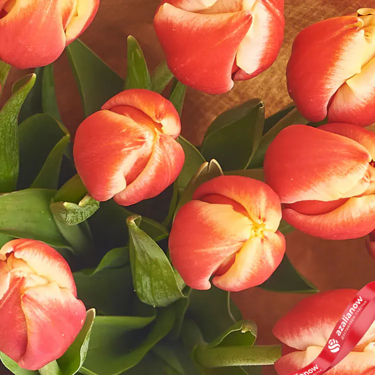 Фото 3: Букет из 15 красных тюльпанов в белой бумаге. Сервис доставки цветов AzaliaNow