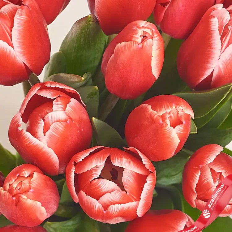 Фото 3: Букет из 15 красных тюльпанов в красной бумаге «Руководителю». Сервис доставки цветов AzaliaNow