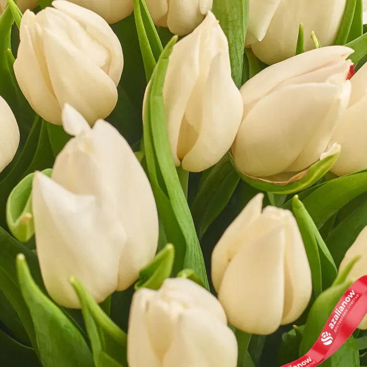 Фото 3: Букет из 15 белых тюльпанов в пленке «Женщине». Сервис доставки цветов AzaliaNow
