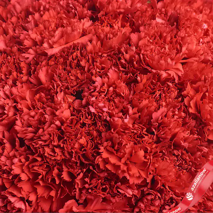 Фото 3: Букет из 51 красной гвоздики в белой крафтовой бумаге. Сервис доставки цветов AzaliaNow