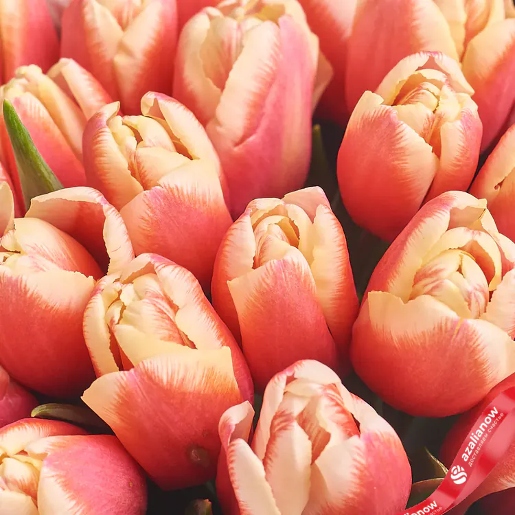 Фото 3: Букет из 51 розового тюльпана в крафте. Сервис доставки цветов AzaliaNow