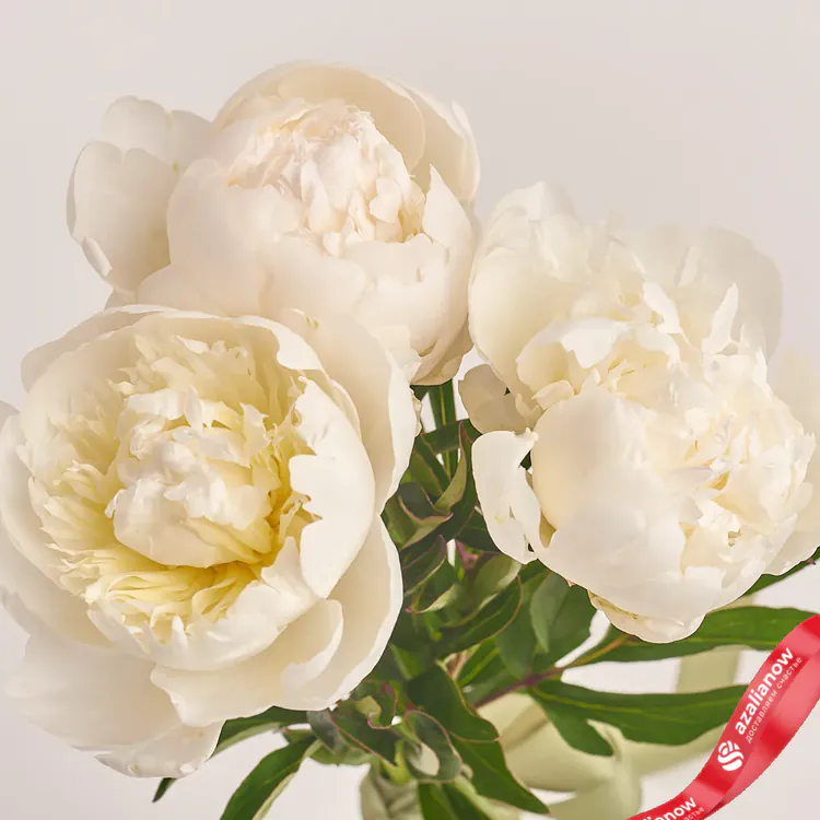Фото 3: 3 белых пиона, Голландия. Сервис доставки цветов AzaliaNow