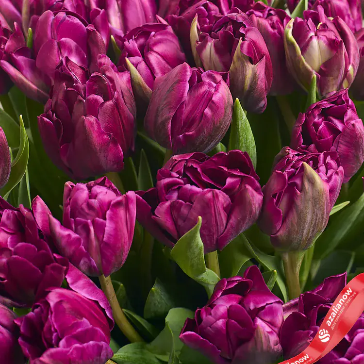 Фото 3: Букет из 25 фиолетовых тюльпанов в голубой пленке. Сервис доставки цветов AzaliaNow