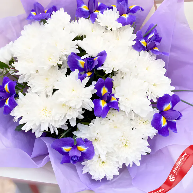 Фото 3: Букет из синих ирисов и белых хризантем «Прогулка весны». Сервис доставки цветов AzaliaNow