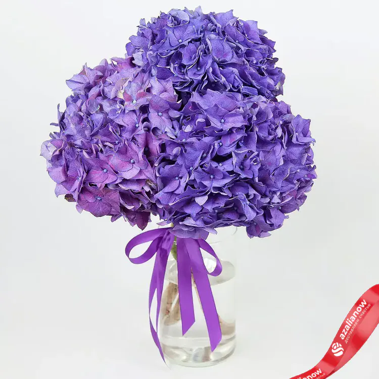Фото 1: Букет из 3 фиолетовых гортензий «Оттенки гортензии». Сервис доставки цветов AzaliaNow