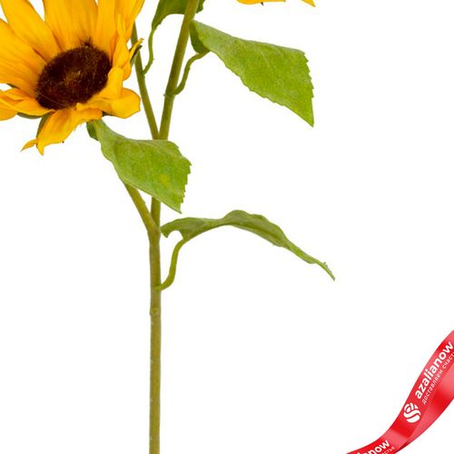 Фото 3: Подсолнух искусственный (пластик), 50см, желтый