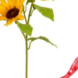 Маленькое фото 3: Подсолнух искусственный (пластик), 50см, желтый