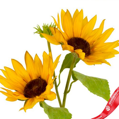 Фото 5: Подсолнух искусственный (пластик), 50см, желтый