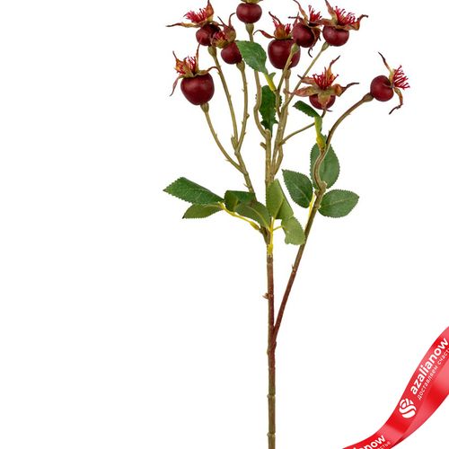 Фото 2: Шиповник с крупными листьями, искусственный (пластик), 56см, бордовый