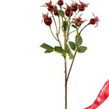 Маленькое фото 2: Шиповник с крупными листьями, искусственный (пластик), 56см, бордовый