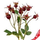 Маленькое фото 5: Шиповник с крупными листьями, искусственный (пластик), 56см, бордовый