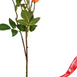 Маленькое фото 3: Шиповник искусственный (пластик), 56см, оранжевый