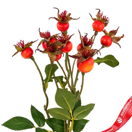 Фото 5: Шиповник искусственный (пластик), 56см, оранжевый