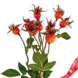 Маленькое фото 5: Шиповник искусственный (пластик), 56см, оранжевый