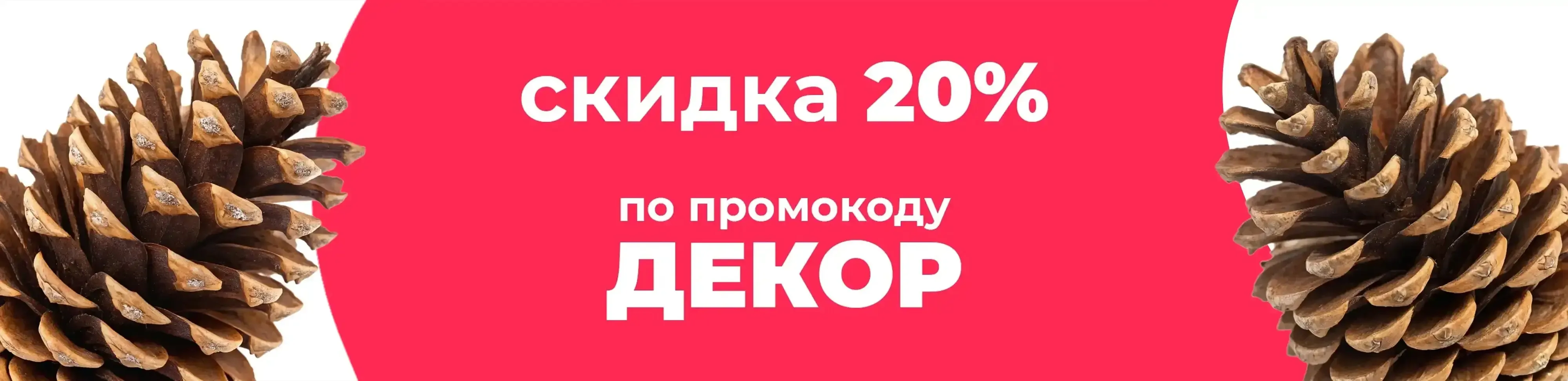 Баннер для рубрики: Шишки ели