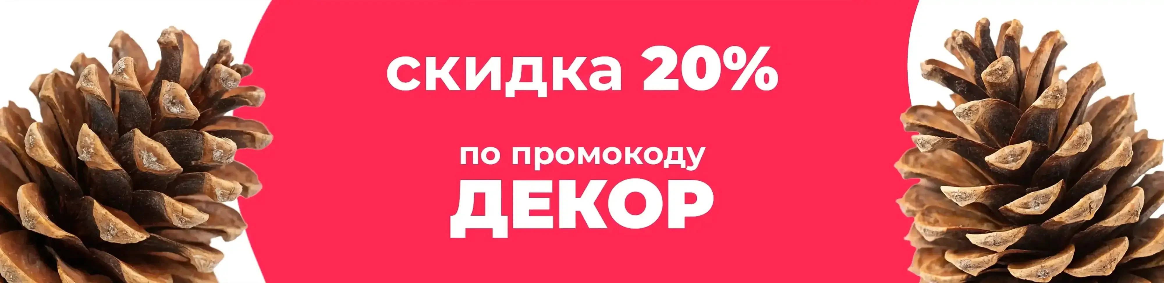 Баннер для рубрики: Шишки сосны