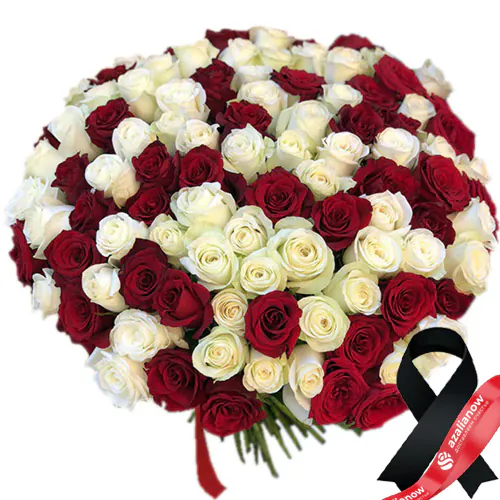Фото 1: 100 красно-белых роз. Сервис доставки цветов AzaliaNow