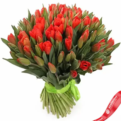 Фото 1: 101 алый тюльпан. Сервис доставки цветов AzaliaNow