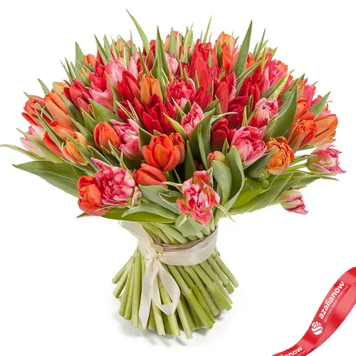 Фото 1: 101 пионовидный оранжевый и красный тюльпан, Голландия. Сервис доставки цветов AzaliaNow