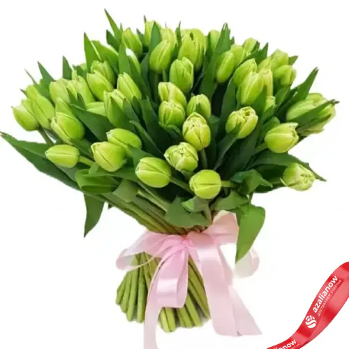 Фото 1: 101 салатовый тюльпан, Россия. Сервис доставки цветов AzaliaNow