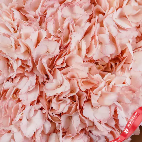 Фото 2: Шикарный букет из 15 розовых гортензий. Сервис доставки цветов AzaliaNow