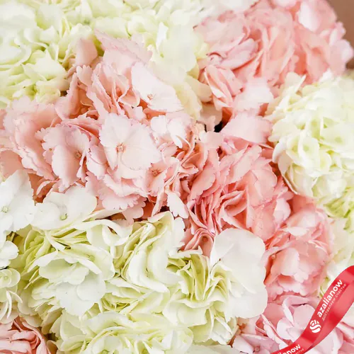 Фото 2: Букет из 15 бело-розовых гортензий «Шик». Сервис доставки цветов AzaliaNow