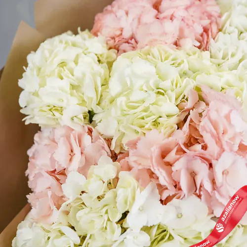 Фото 4: Букет из 20 бело-розовых гортензий «Шик». Сервис доставки цветов AzaliaNow