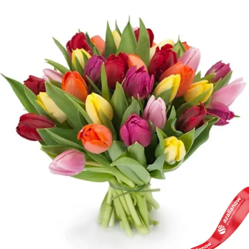 Фото 1: 19 разноцветных тюльпанов, Россия. Сервис доставки цветов AzaliaNow