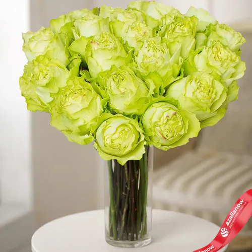 Фото 1: 19 пионовидных зеленых роз 50 см, Голландия. Сервис доставки цветов AzaliaNow