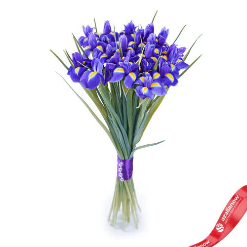 Фото 1: Букет из 19 ирисов. Сервис доставки цветов AzaliaNow