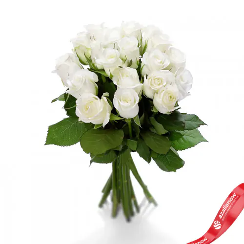 Фото 1: 23 белые розы без упаковки. Сервис доставки цветов AzaliaNow