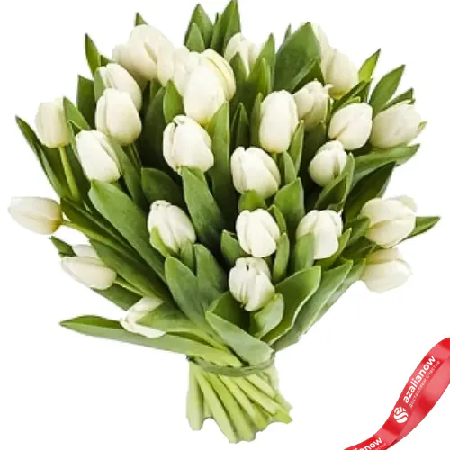 Фото 1: 25 белых тюльпанов, Россия. Сервис доставки цветов AzaliaNow