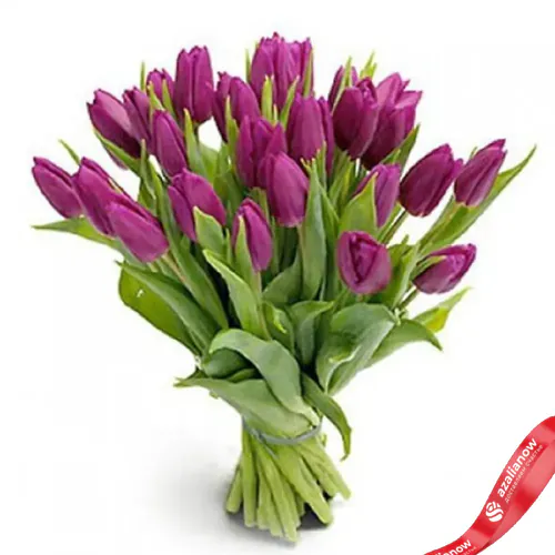 Фото 1: 25 фиолетовых тюльпанов, Россия. Сервис доставки цветов AzaliaNow