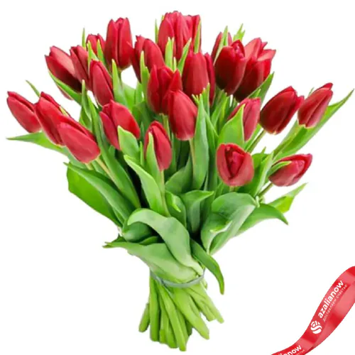 Фото 1: 25 красных тюльпанов, Россия. Сервис доставки цветов AzaliaNow