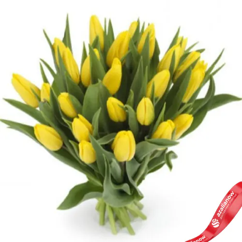 Фото 1: 25 желтых тюльпанов, Россия. Сервис доставки цветов AzaliaNow