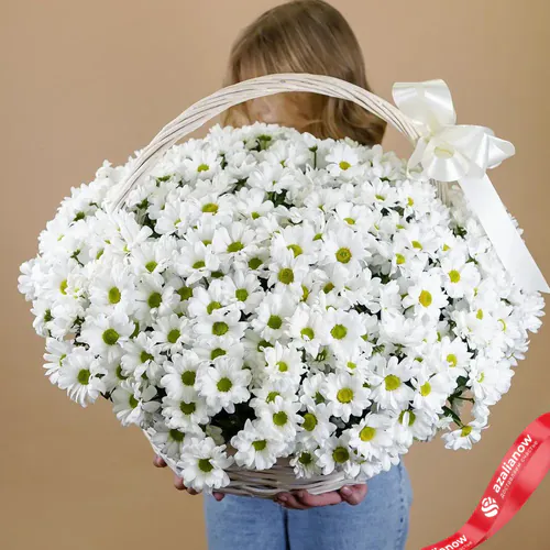 Фото 1: Огромный шикарный букет из 49 белых хризантем. Сервис доставки цветов AzaliaNow